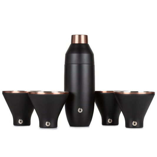 Stainless Steel Cocktail Shaker and Martini Glass Set, Black