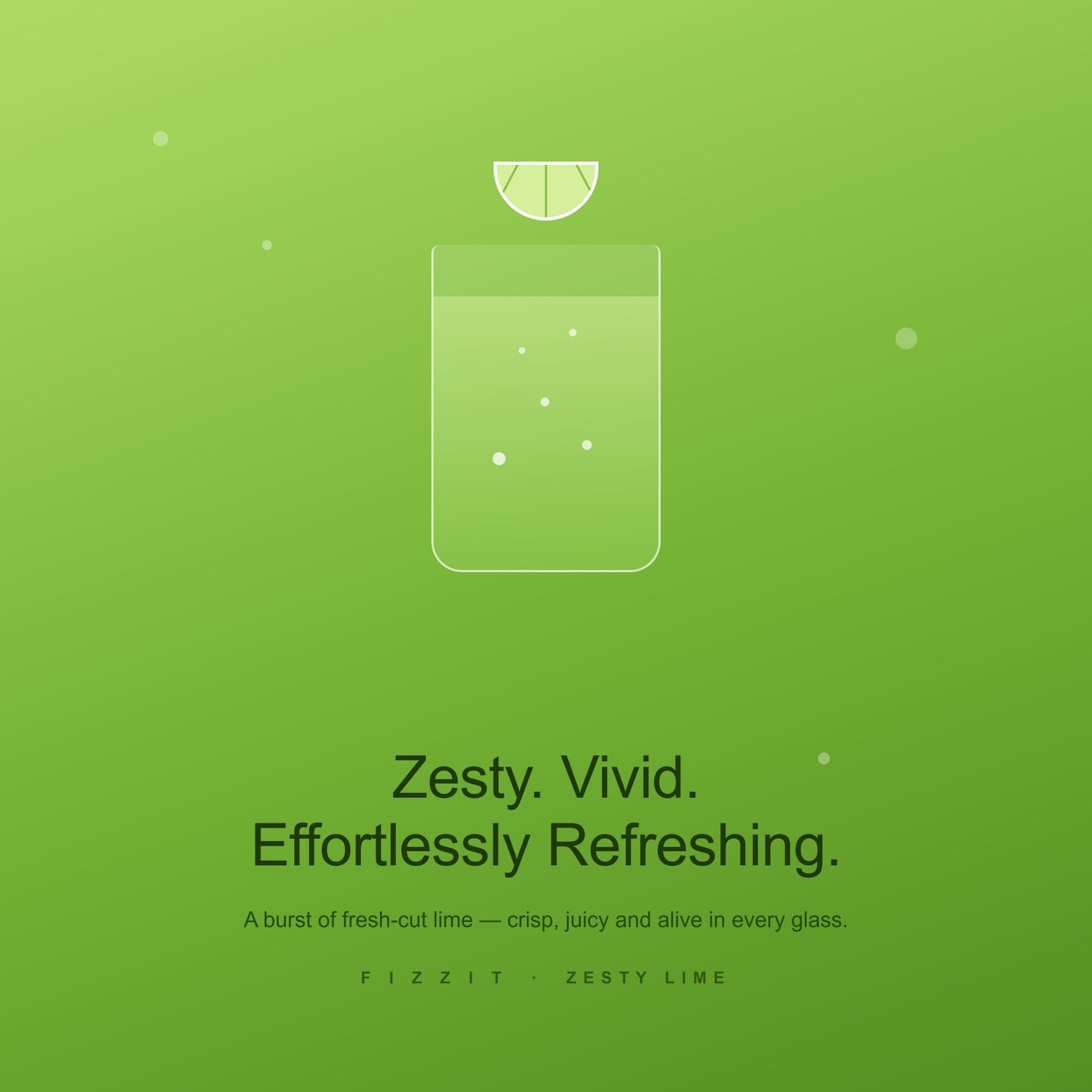 FIZZIT Zesty Lime Flavor Drops | Zero Sugar, Zero Calories | Natural Sparkling Water Drops | 1 fl oz (29mL) Glass Bottle with Dropper