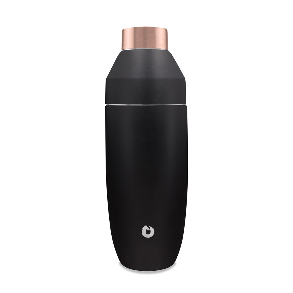 Stainless Steel Cocktail Shaker, Black