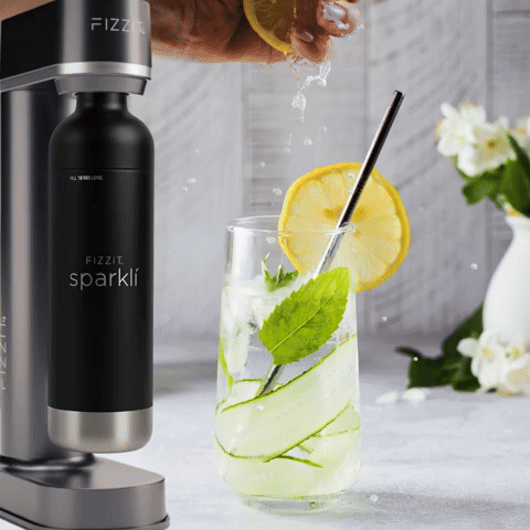 FIZZIT | Premium Sparkling Water Makers & Stainless Steel Soda Makers ...