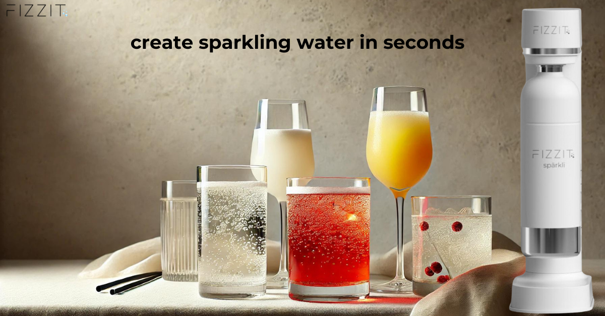 Fizz Pots FIZZIT | Premium Sparkling Water Makers & Stainless Steel Soda Makers ...